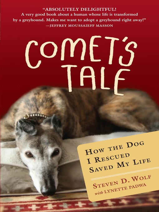 Cover image for Comet's Tale
